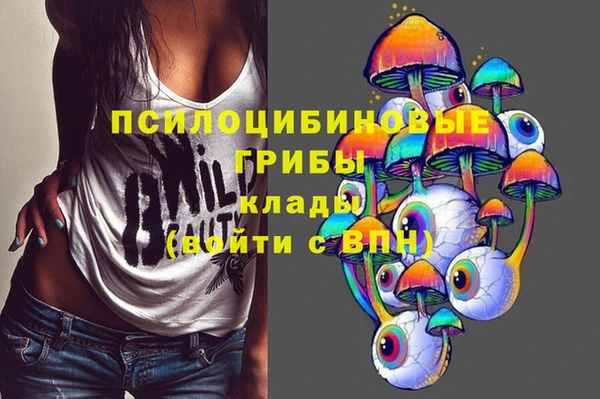 стаф Коряжма