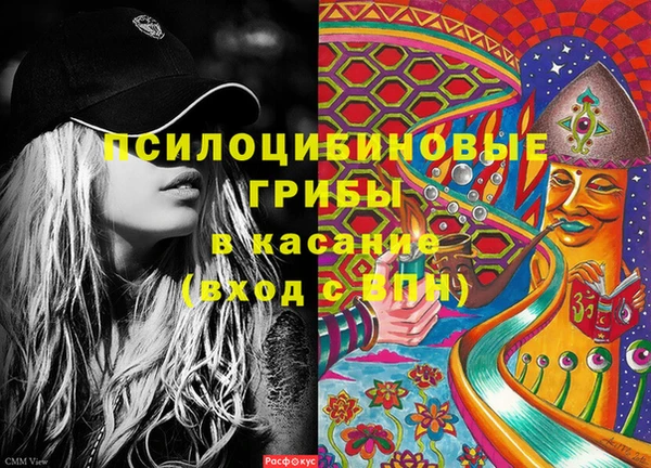 стаф Коряжма