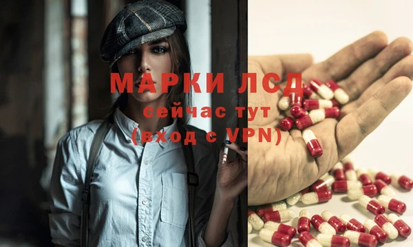 стаф Коряжма
