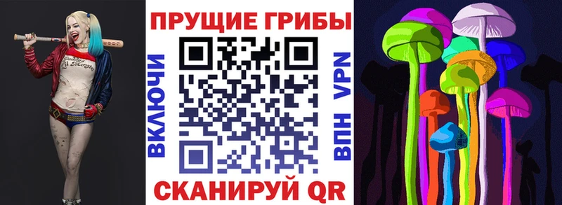 Купить  Всеволожск  Псилоцибиновые грибы MAGIC MUSHROOMS 